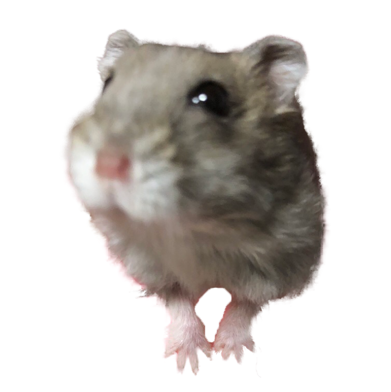 ココアちゃん